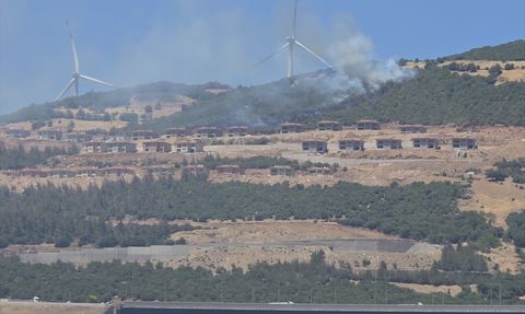 Gaziantep'te Orman Yangını Kontrol Altına Alındı