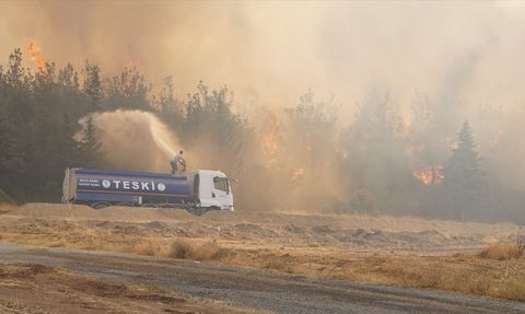 Gelibolu'daki Orman Yangını Kontrol Altına Alındı
