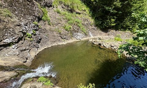 Giresun Paşakonağı Yaylası'nda Doğa Harikaları