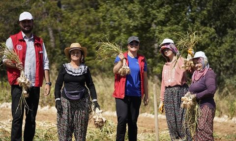 Gönüllü Gençler Hasat İçin Tarım Alanlarında Bir Araya Geldi