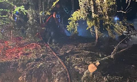 Gümüşhane'deki Orman Yangını Kontrol Altına Alındı