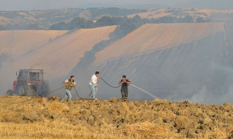 Havza'da Anız Yangını 50 Dekar Tarım Arazisini Vurdu