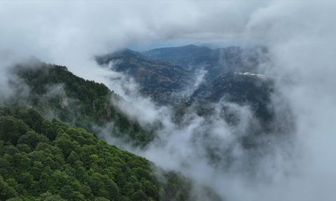 Hıdırnebi Yaylası'nın Sisli Güzelliği