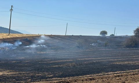 Isparta'da Ekin Tarlasında Yangın Söndürüldü