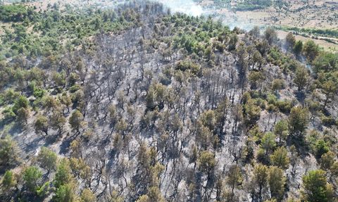 Isparta'daki Orman Yangını Kontrol Altına Alındı