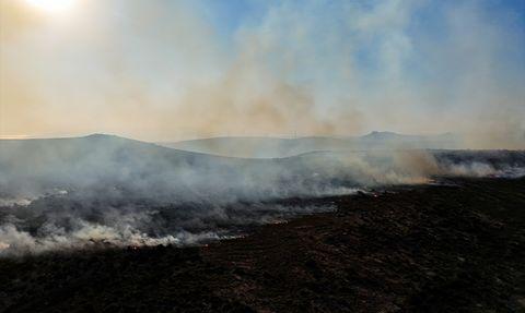 İzmir Çeşme'de Orman Yangınına Müdahale Devam Ediyor