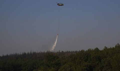İzmir'de Orman Yangınına Hızla Müdahale
