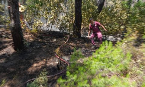İzmir'deki Orman Yangınlarına Mücadele Eden Ekiplerin Azmi