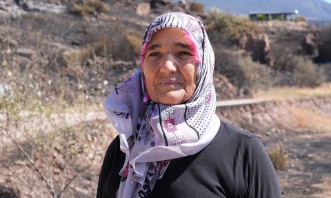 İzmir'deki Orman Yangınlarının Ardından Hasar Tespit Çalışmaları Tamamlandı