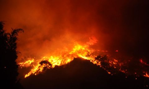 İzmir Ödemiş'te Orman Yangınına Müdahale Devam Ediyor