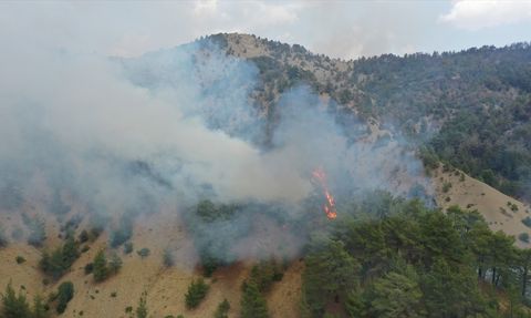 Kahramanmaraş Orman Yangınında Müdahale 3. Güne Girdi