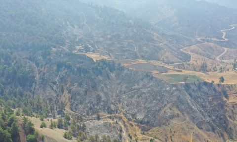 Kahramanmaraş'taki Orman Yangını Kontrol Altına Alındı
