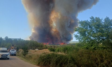 Karabük'te Orman Yangını: Ekipler Mücadele Ediyor