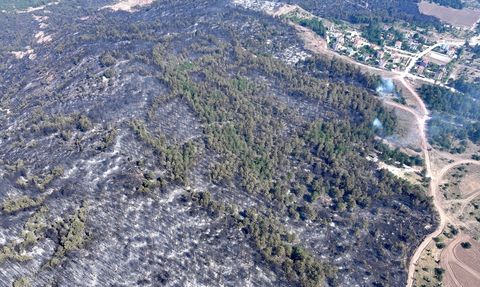 Karabük'te Orman Yangını Sebebiyle Mahalleler ve Bir Köy Tahliye Edildi