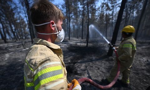 Karabük'teki Orman Kahramanları 6 Gündür Yangınla Mücadele Ediyor