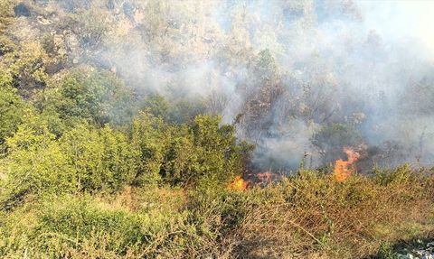 Karabük'teki Orman Yangınına Müdahale Devam Ediyor
