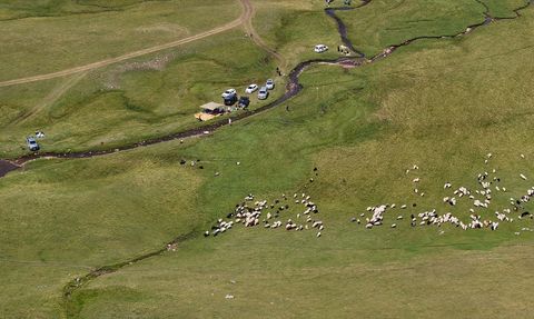 Karadeniz Yaylaları Ziyaretçileri Ağırlıyor