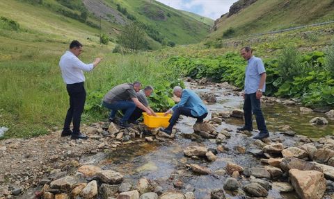 Karadere Vadisi'nde 15 Bin Alabalık Yavrusu Salındı