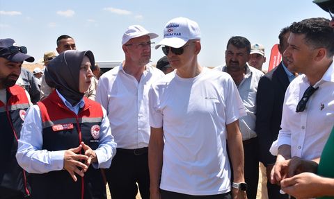 Karaman'da Yerli Tohumlu Buğday Hasadı Başarıyla Gerçekleşti