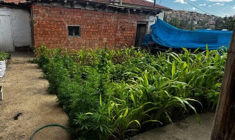 Kırıkkale'de Uyuşturucu Operasyonu: 5 Gözaltı