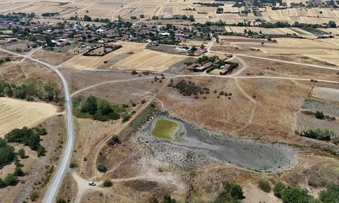 Kırklareli'nde Müsellim Göleti'nde Balık Ölümleri