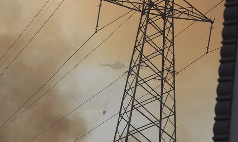 Kocaeli'de Orman Yangını Kontrol Altında