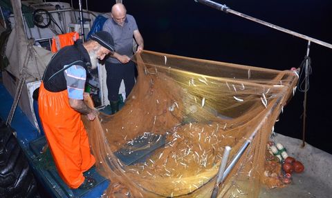 Kocaeli Ereğli Balık Hali'nde Mezada Hareketlilik