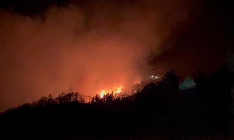 Konya'daki Orman Yangınına Hızla Müdahale Ediliyor