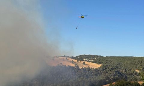 Kütahya'da Orman Yangını Kontrol Altına Alındı