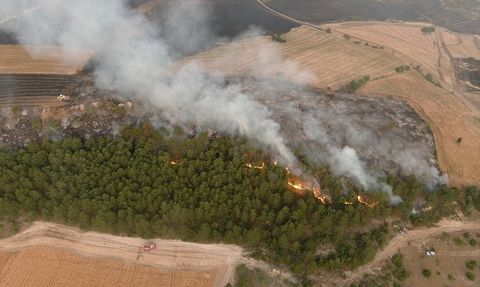 Kütahya'daki Orman Yangını Kontrol Altına Alındı