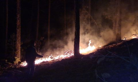 Kütahya'daki Orman Yangını Köylüler ve Orman Personeliyle Kontrol Altına Alındı