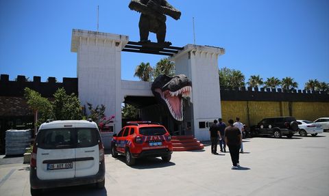 Manavgat'ta Aslan Kaçışı: Hayvan Parkında Denetim Yapıldı