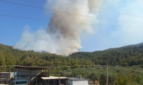 Manisa'da Orman Yangını Kontrol Altına Alınıyor