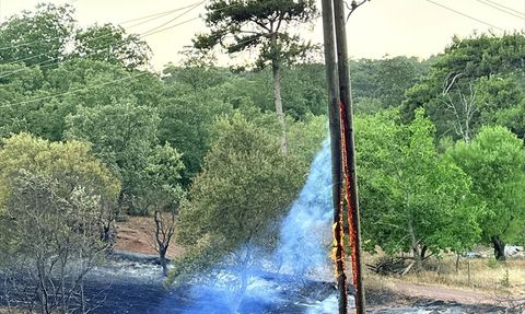 Manisa'da Orman Yangınına Müdahale Devam Ediyor