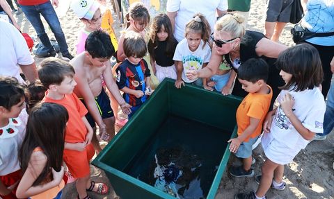 Mersin'de Uydu Takipli Yeşil Deniz Kaplumbağası Denize Salındı
