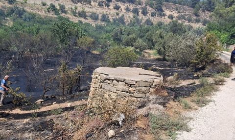 Mersin'deki Yangın Kontrol Altına Alındı