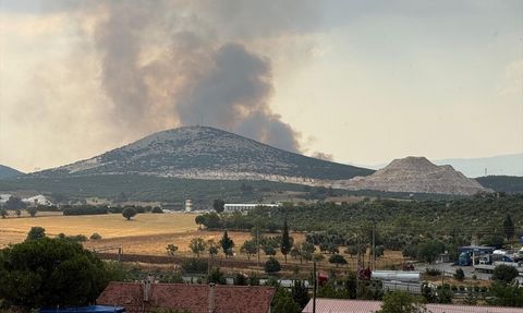 Muğla'da Orman Yangını Mücadelesi