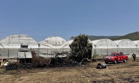 Muğla'da Otluk Alanda Yangın Kontrol Altına Alındı