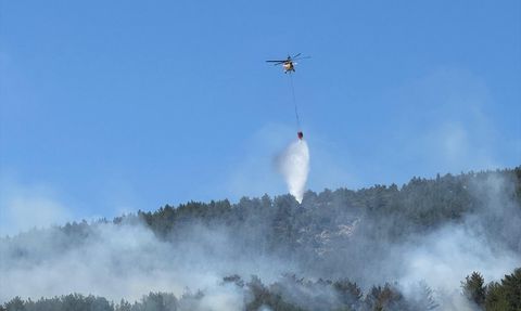 Muğla Menteşe'de Orman Yangını Kontrol Altına Alınmaya Çalışılıyor