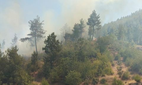 Muğla Menteşe'deki Orman Yangınına Müdahale Devam Ediyor