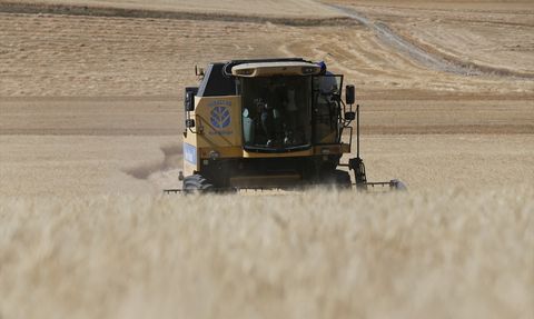 Mustafa Destici Eskişehir'de Buğday Hasadı Yaptı