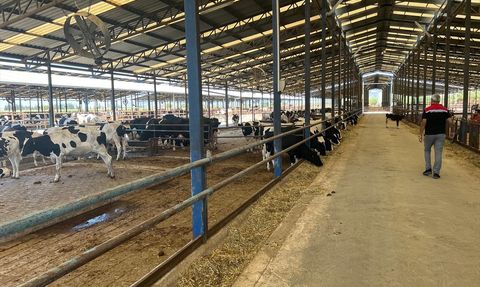 Ödemiş'te Kurtarılan Hayvanlar Sahiplerine İade Edildi