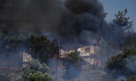Ödemiş'te Orman Yangını: Hayatını Kaybeden Bir Kişi Var