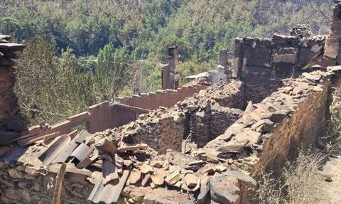 Orman Yangınlarında Ağır Hasar Tespiti