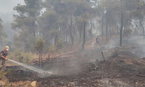 Sakarya-Bilecik Orman Yangınında Son Durum