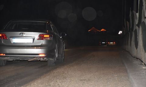 Sakarya'da Bir Gün Sineklerinin "Ölüm Uçuşu"