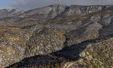 Sakarya'da Orman Yangını Tahribatı Havadan Görüntülendi