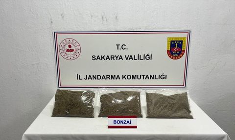 Sakarya'da Uyuşturucu Operasyonu: 2,75 Kilo Sentetik Madde Ele Geçirildi