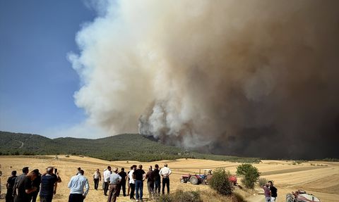 Sakarya'daki Orman Yangını Bilecik'e Sıçradı