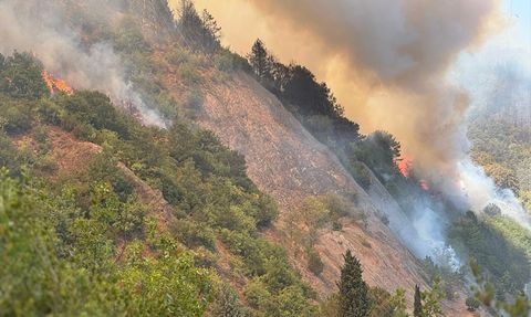 Sakarya'daki Orman Yangınına Müdahale Devam Ediyor